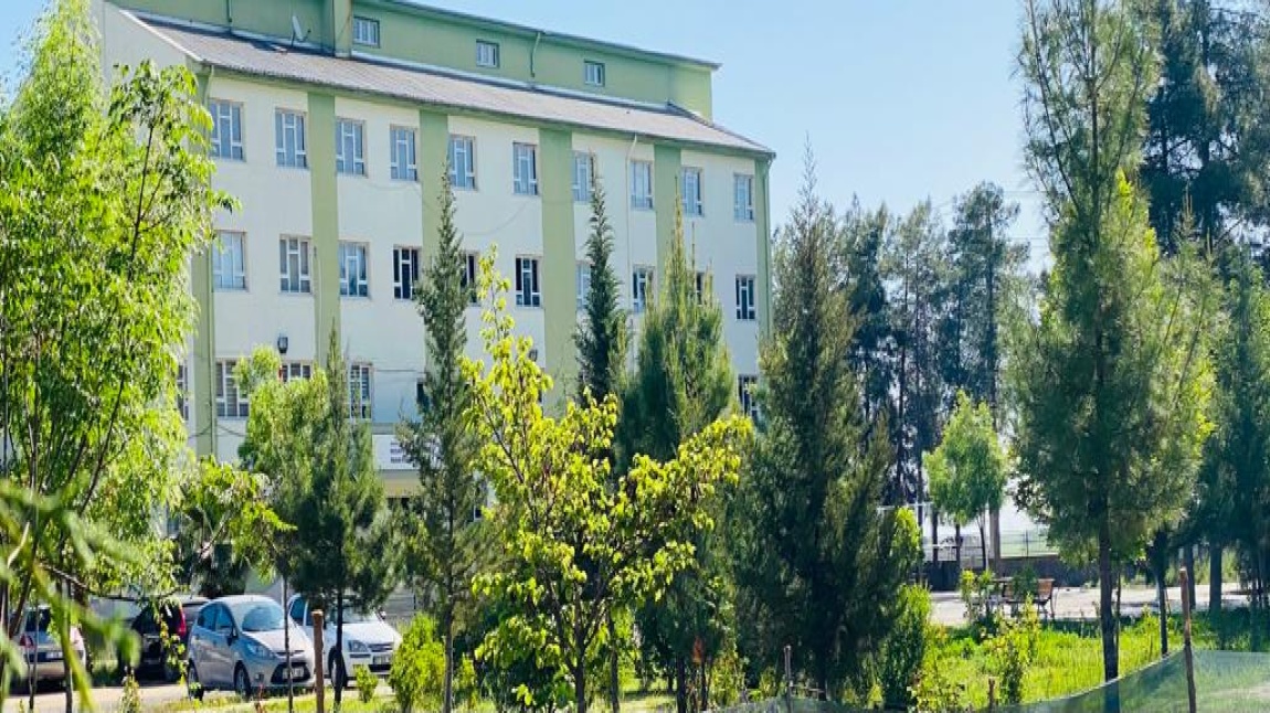Nusaybin Kız Anadolu İmam Hatip Lisesi Fotoğrafı